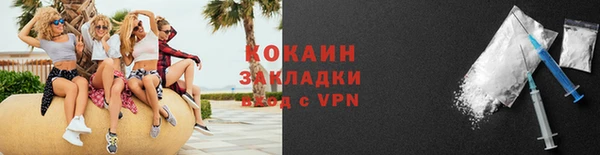 индика Ижевск