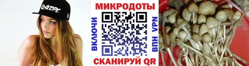Галлюциногенные грибы Psilocybe  Щёлкино 